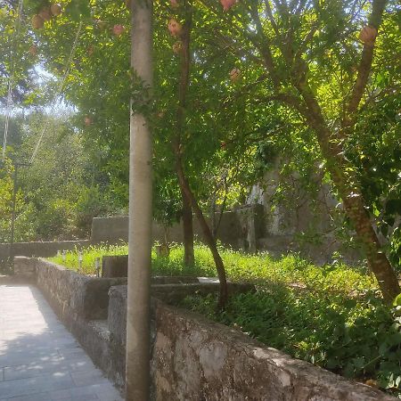 Apartman Arbanas Dubrovnik Exterior photo
